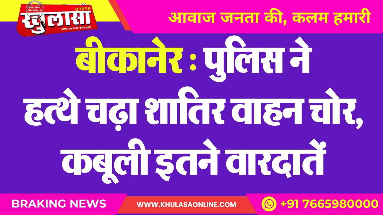बीकानेर : पुलिस ने हत्थे चढ़ा शातिर वाहन चोर, कबूली इतने वारदातें