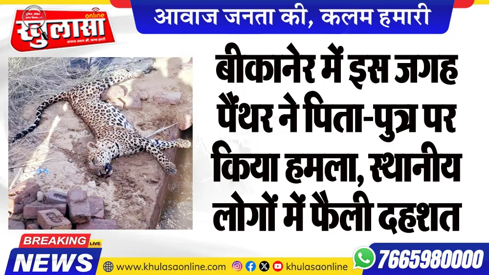 बीकानेर में इस जगह पैंथर ने पिता-पुत्र पर किया हमला, स्थानीय लोगों में फैली दहशत