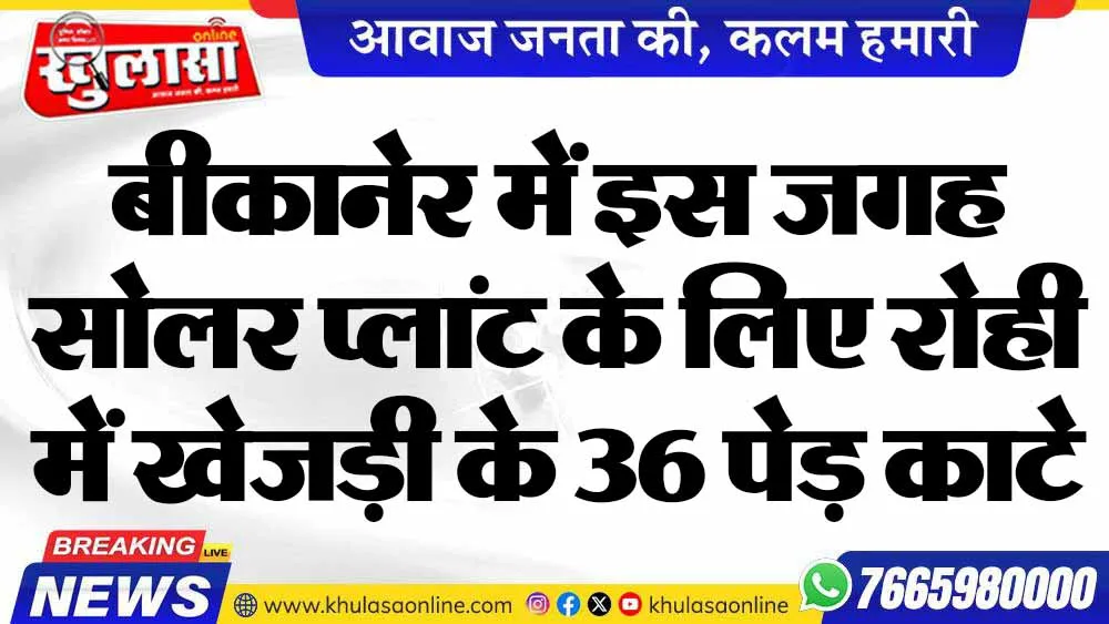 बीकानेर में इस जगह सोलर प्लांट के लिए रोही में खेजड़ी के 36 पेड़ काटे