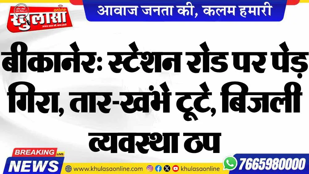 बीकानेर: स्टेशन रोड पर पेड़ गिरा, तार-खंभे टूटे, बिजली व्यवस्था ठप