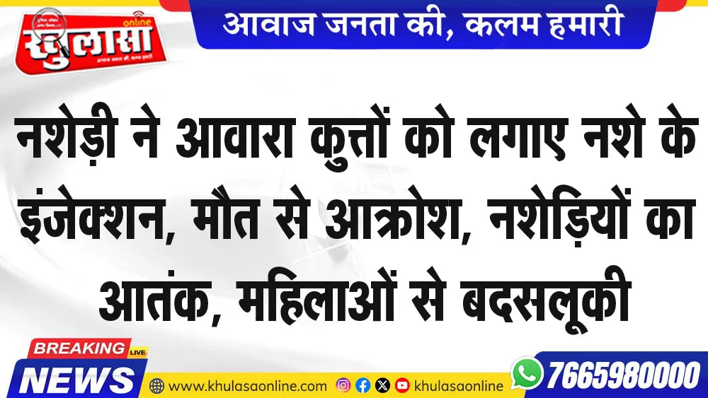 नशेड़ी ने आवारा कुत्तों को लगाए नशे के इंजेक्शन, मौत से आक्रोश, नशेडिय़ों का आतंक, महिलाओं से बदसलूकी