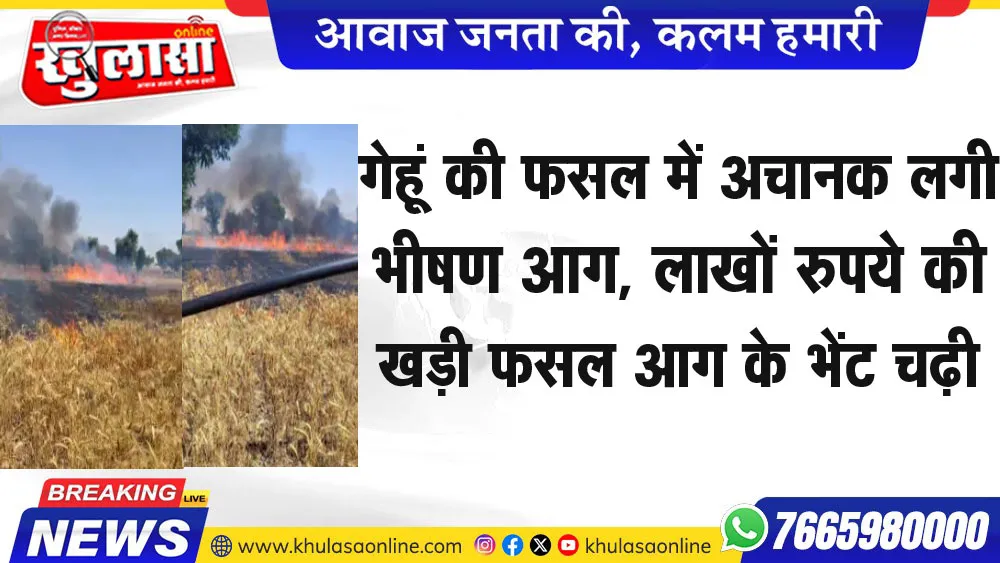 गेहूं की फसल में अचानक लगी भीषण आग, लाखों रुपये की खड़ी फसल आग के भेंट चढ़ी