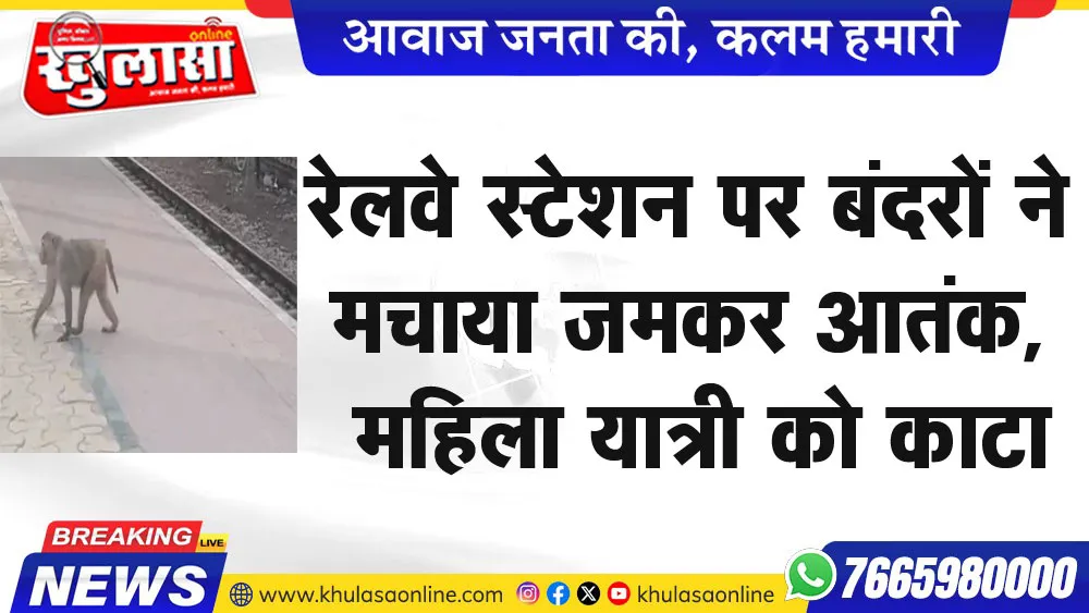 रेलवे स्टेशन पर बंदरों ने मचाया जमकर आतंक, महिला यात्री को काटा