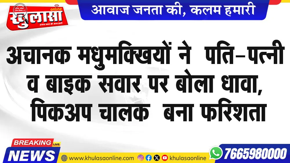 अचानक मधुमक्खियों ने  पति-पत्नी व बाइक सवार पर बोला धावा, पिकअप चालक ने बना फरिशता