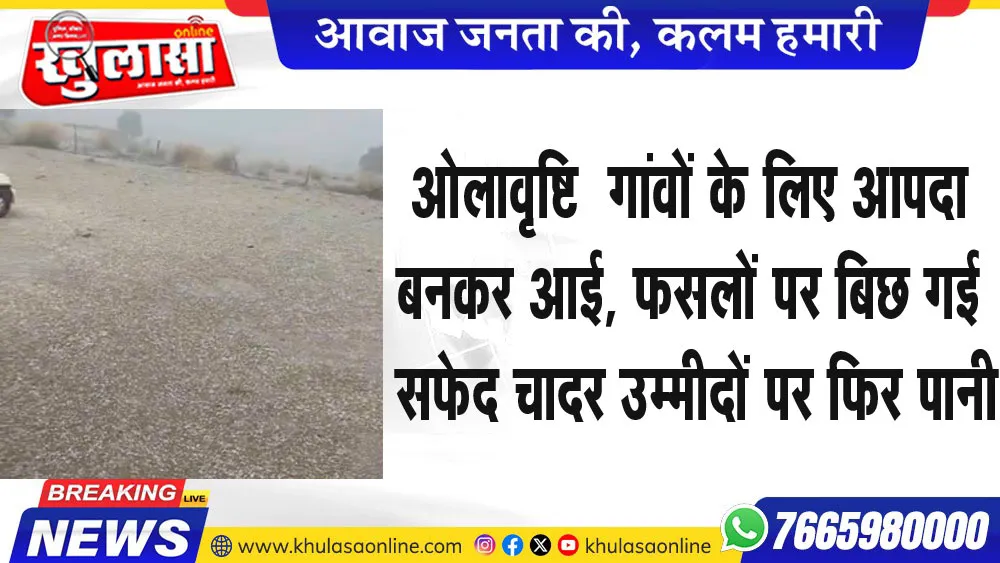 ओलावृष्टि  गांवों के लिए आपदा बनकर आई, फसलों पर बिछ गई सफेद चादर उम्मीदों में फिर पानी
