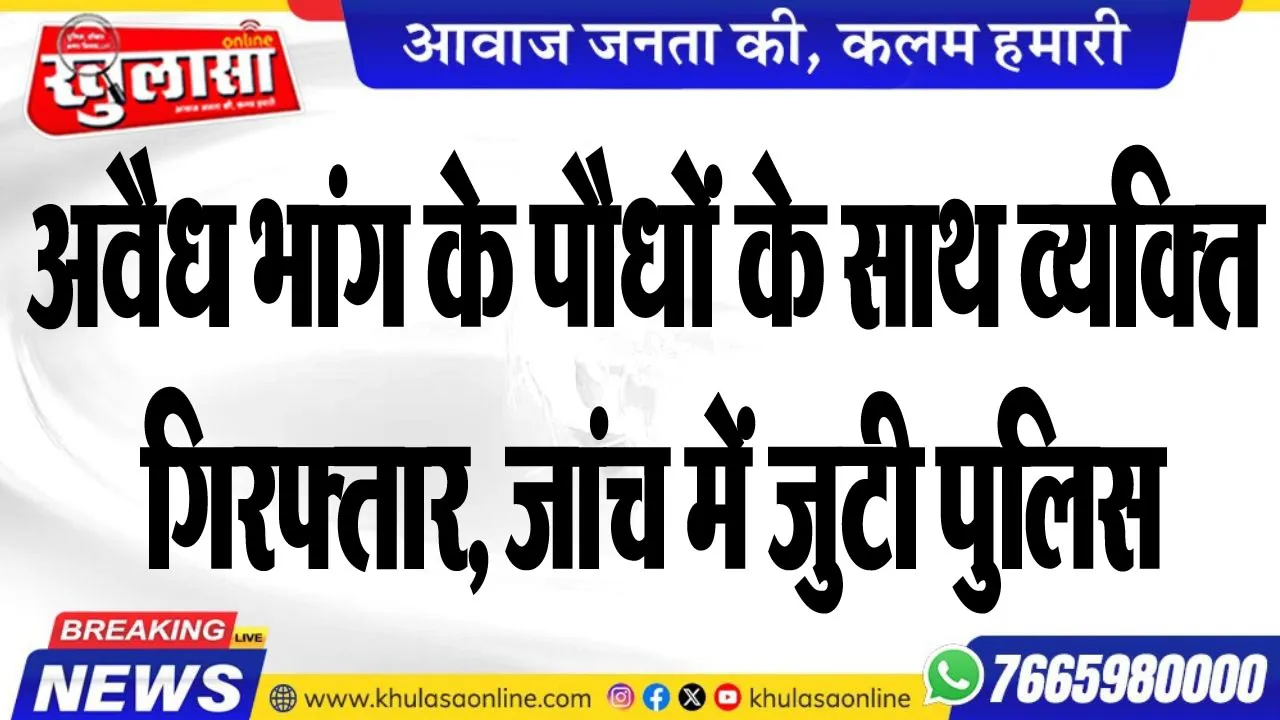 अवैध भांग के पौधों के साथ व्यक्ति गिरफ्तार, जांच में जुटी पुलिस