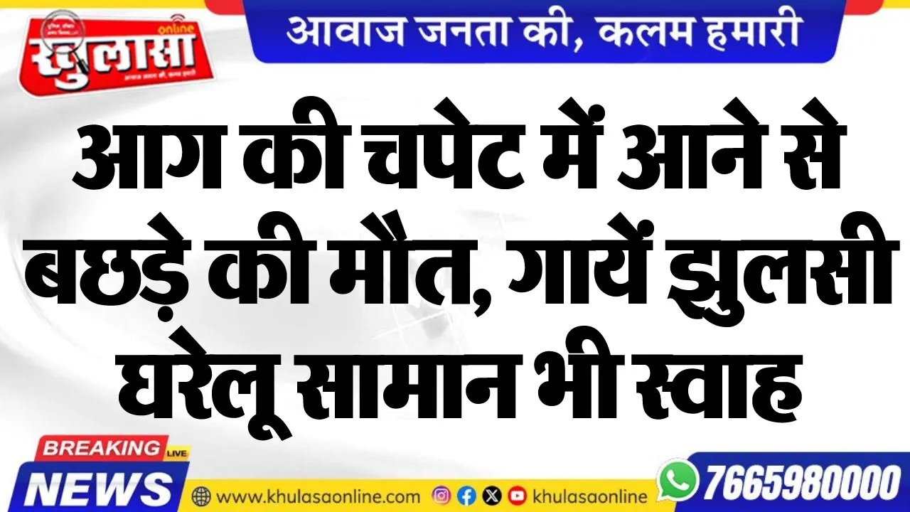 आग की चपेट में आने से बछड़े की मौत, गायें झुलसी, घरेलू सामान भी स्वाह