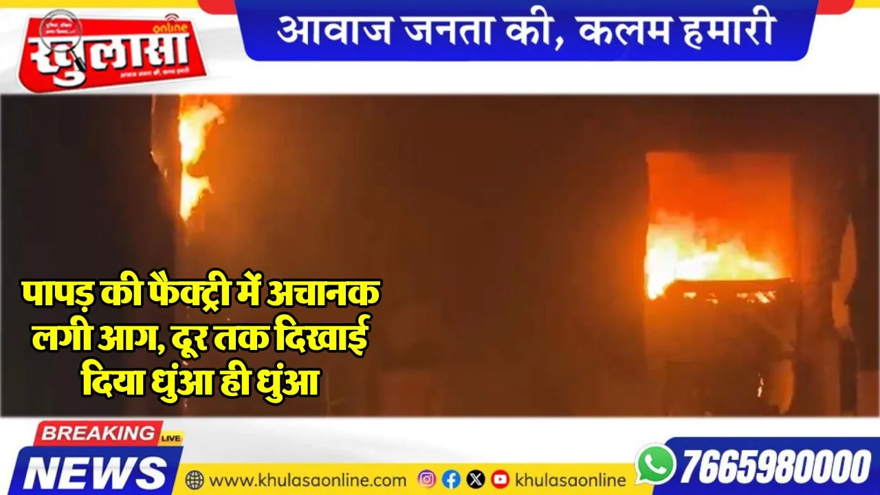 पापड़ की फैक्ट्री में अचानक लगी आग, दूर तक दिखाई दिया धुंआ ही धुंआ