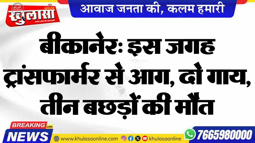 बीकानेर: इस जगह ट्रांसफार्मर से आग, दो गाय, तीन बछड़ों की मौत