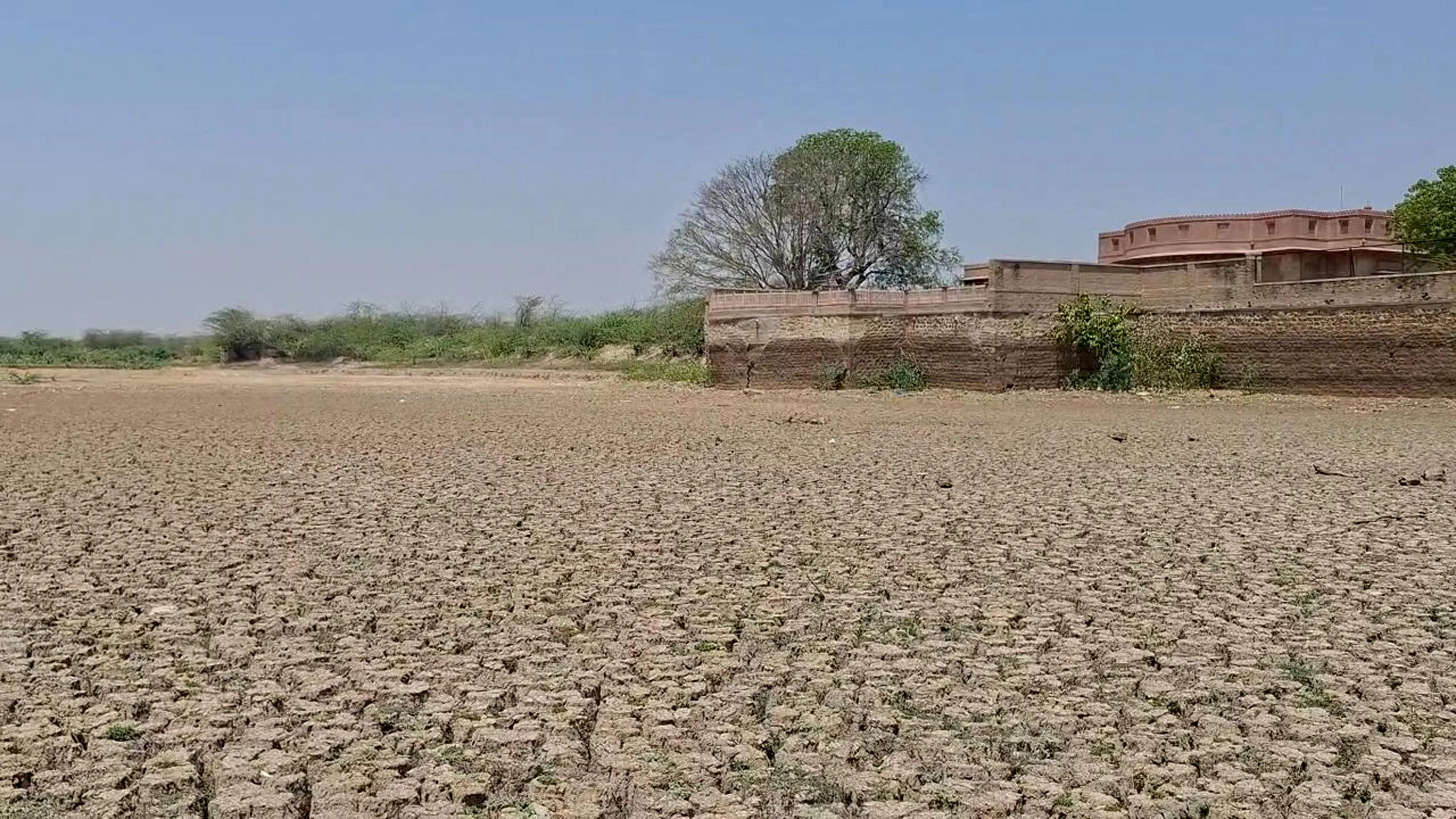 कोडमदेसर तालाब के जीर्णोद्धार एवं सफाई अभियान का आगाज रविवार से