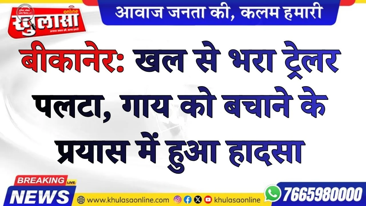 बीकानेर: खल से भरा ट्रेलर पलटा, गाय को बचाने के प्रयास में हुआ हादसा