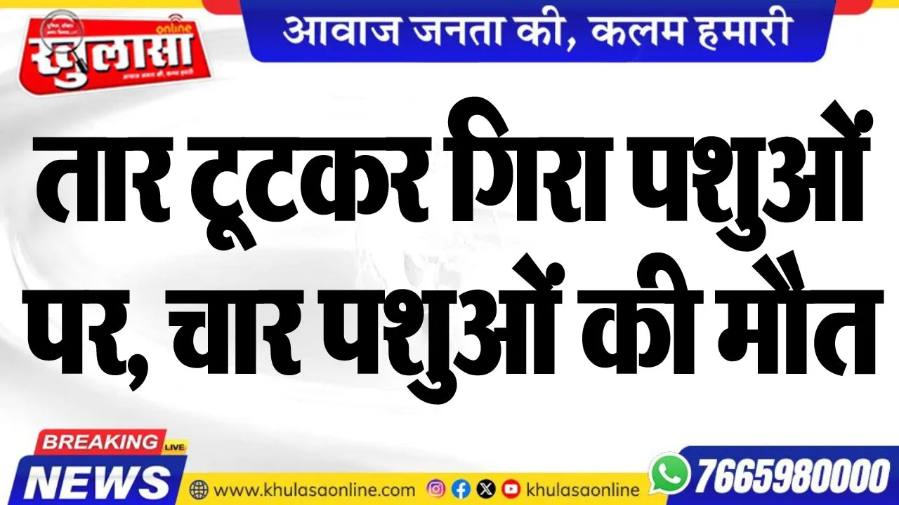 तार टूटकर गिरा पशुओं पर, चार पशुओं की मौत