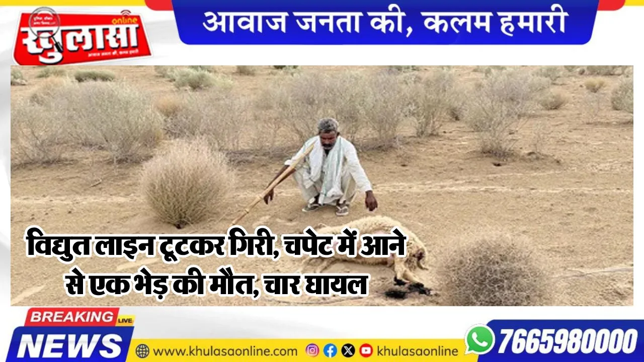 विद्युत लाइन टूटकर गिरी, चपेट में आने से एक भेड़ की मौत, चार घायल