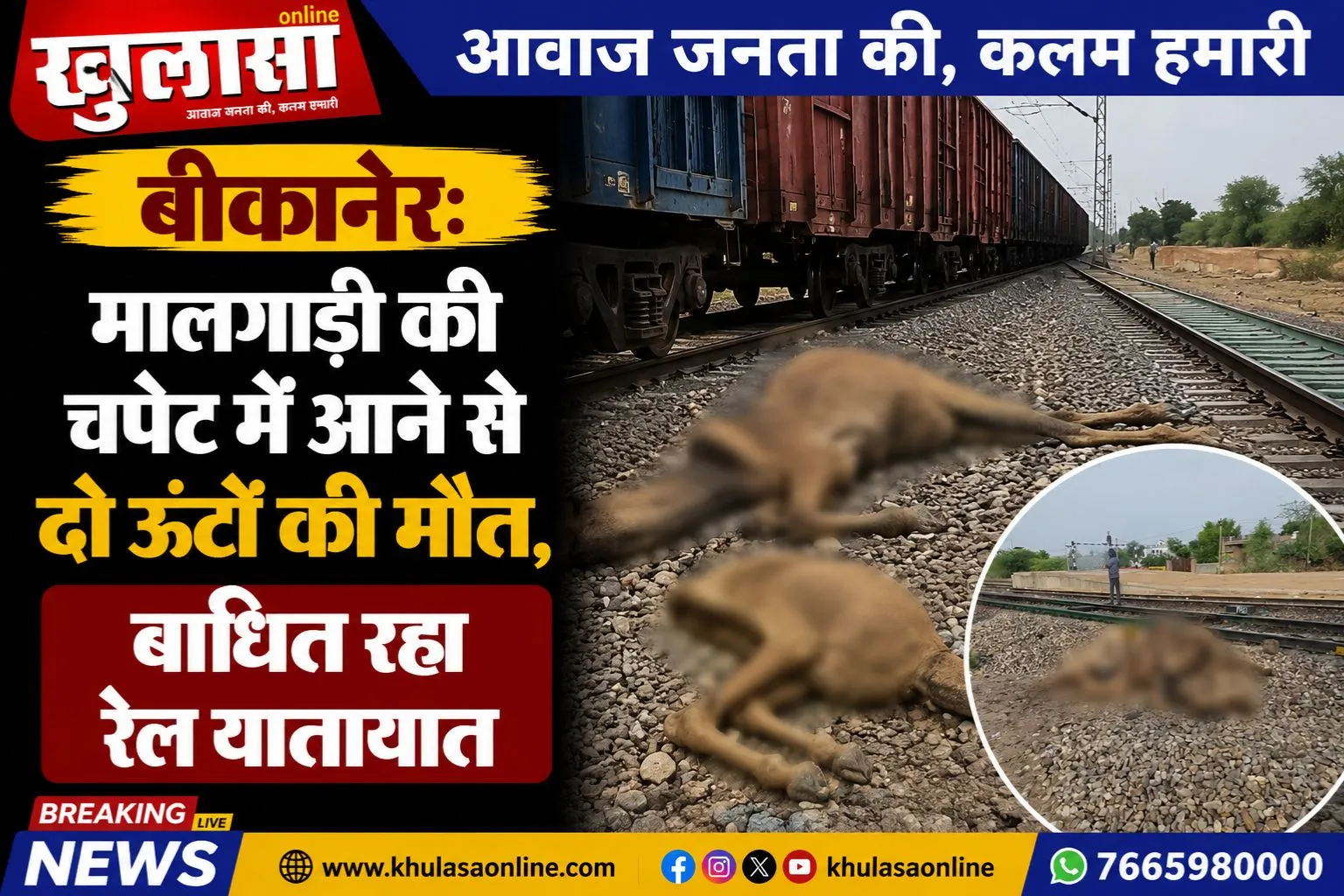 बीकानेर: मालगाड़ी की चपेट में आने से दो ऊंटों की मौत, बाधित रहा रेल यातायात