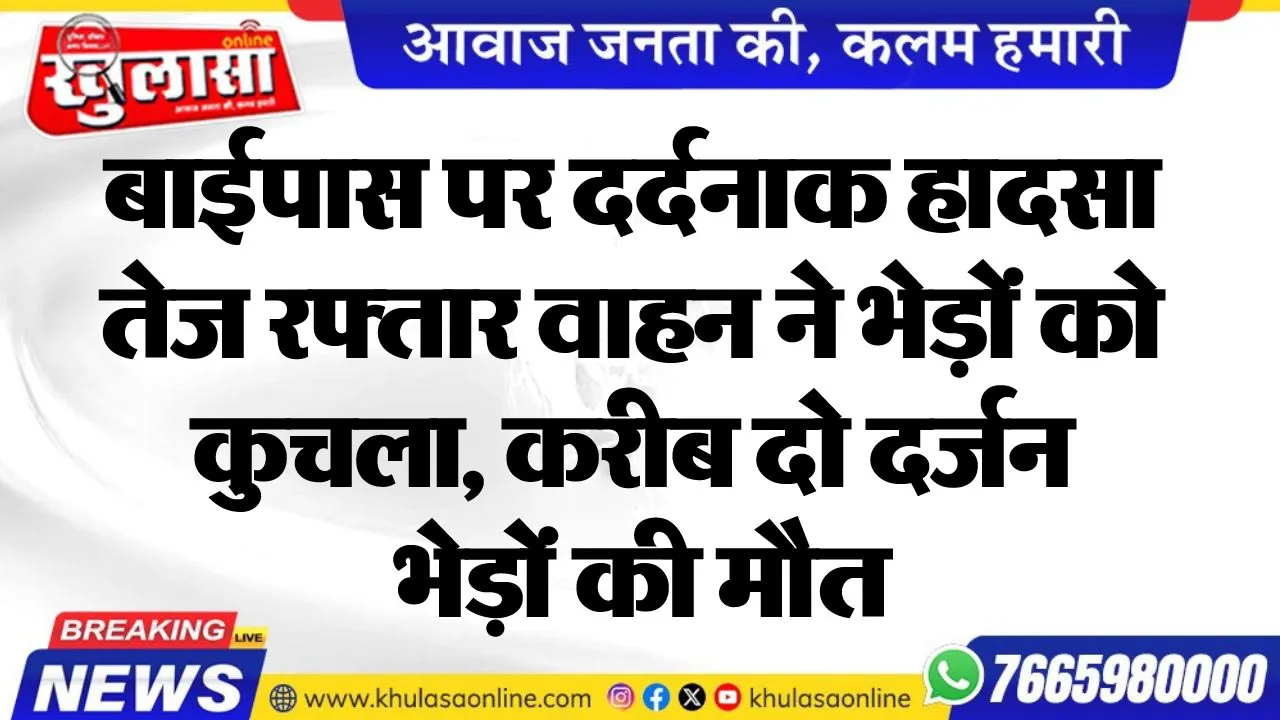 बाईपास पर दर्दनाक हादसा, तेज रफ्तार वाहन ने भेड़ों को कुचला, करीब दो दर्जन भेड़ों की मौत
