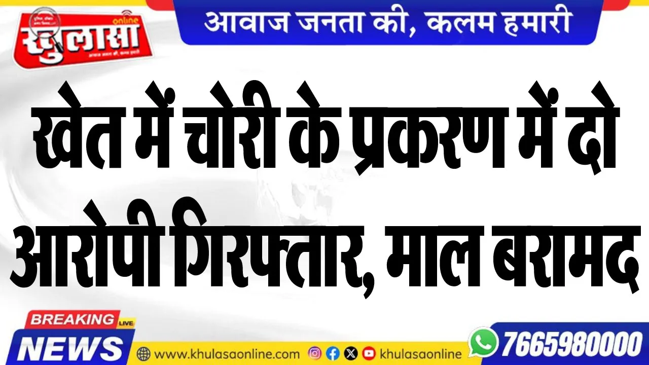 खेत में चोरी के प्रकरण में दो आरोपी गिरफ्तार, माल बरामद