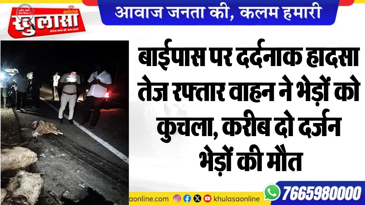 बाईपास पर दर्दनाक हादसा, तेज रफ्तार वाहन ने भेड़ों को कुचला, करीब दो दर्जन भेड़ों की मौत