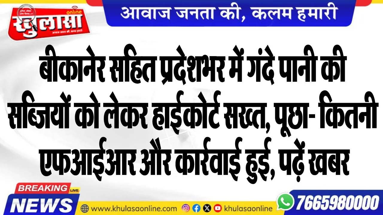बीकानेर सहित प्रदेशभर में गंदे पानी की सब्जियों को लेकर हाईकोर्ट सख्त, पूछा- कितनी एफआईआर और कार्रवाई हुई, पढ़ें खबर