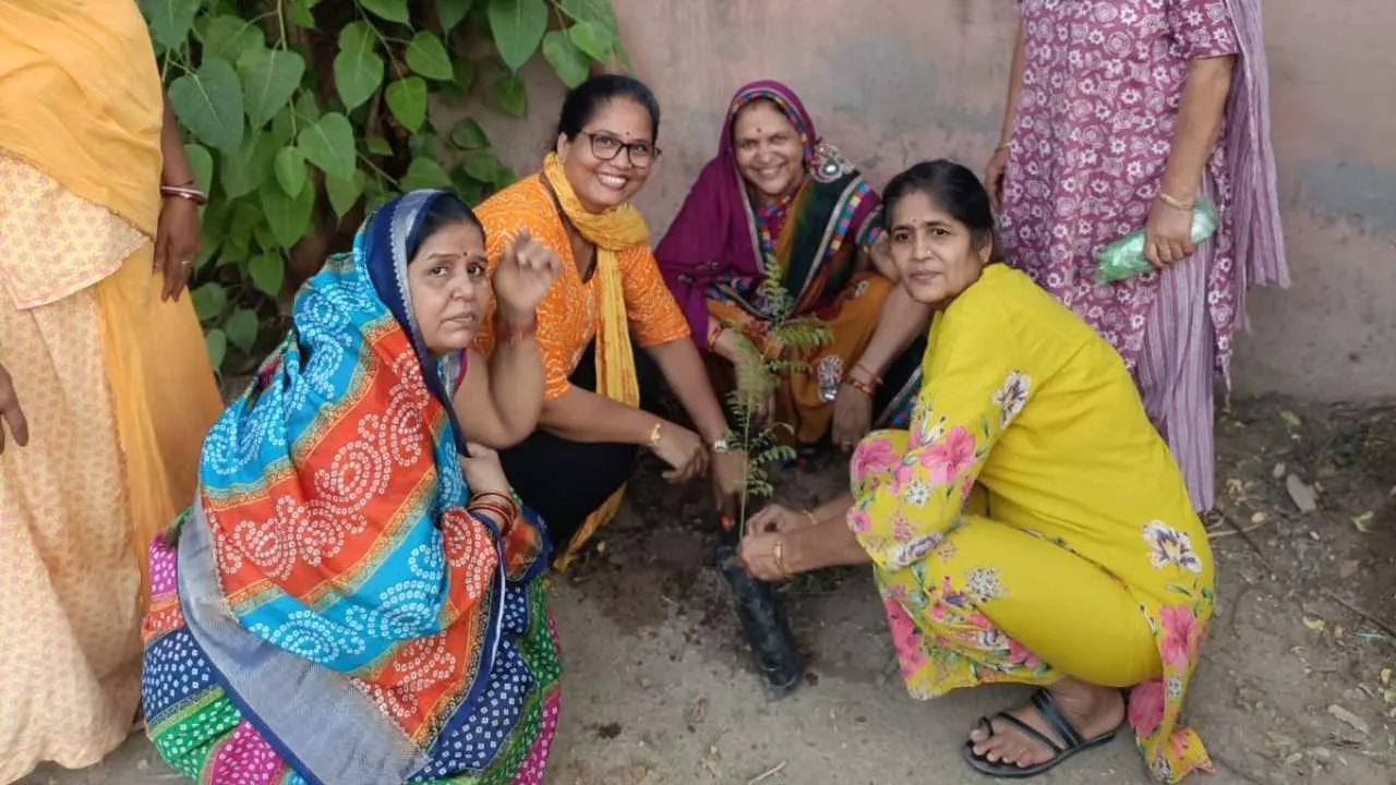 वृक्ष लगाना नहीं बल्कि उनका संरक्षण करना ज्यादा महत्वपूर्ण - मैया