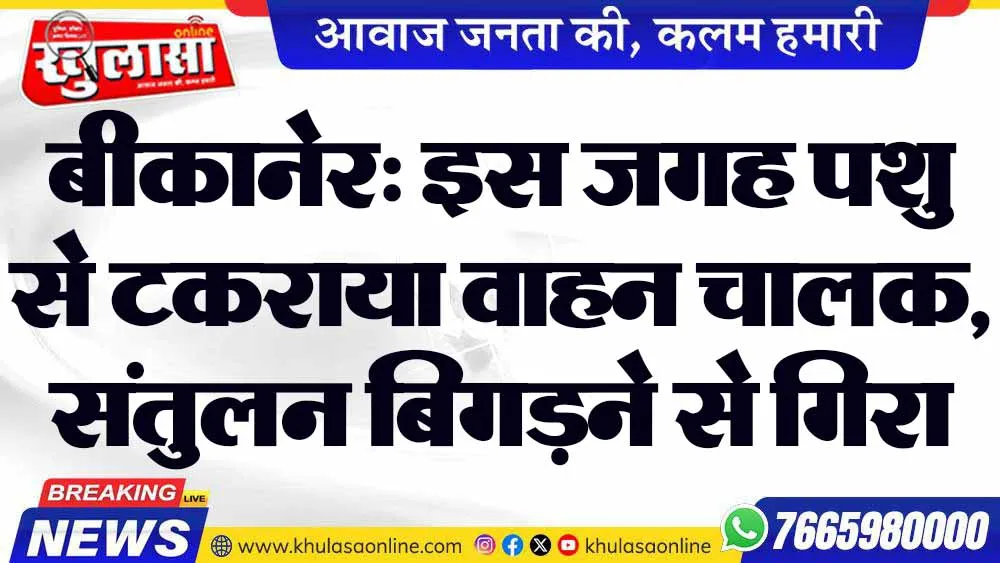 बीकानेर: इस जगह पशु से टकराया वाहन चालक, संतुलन बिगड़ने से गिरा