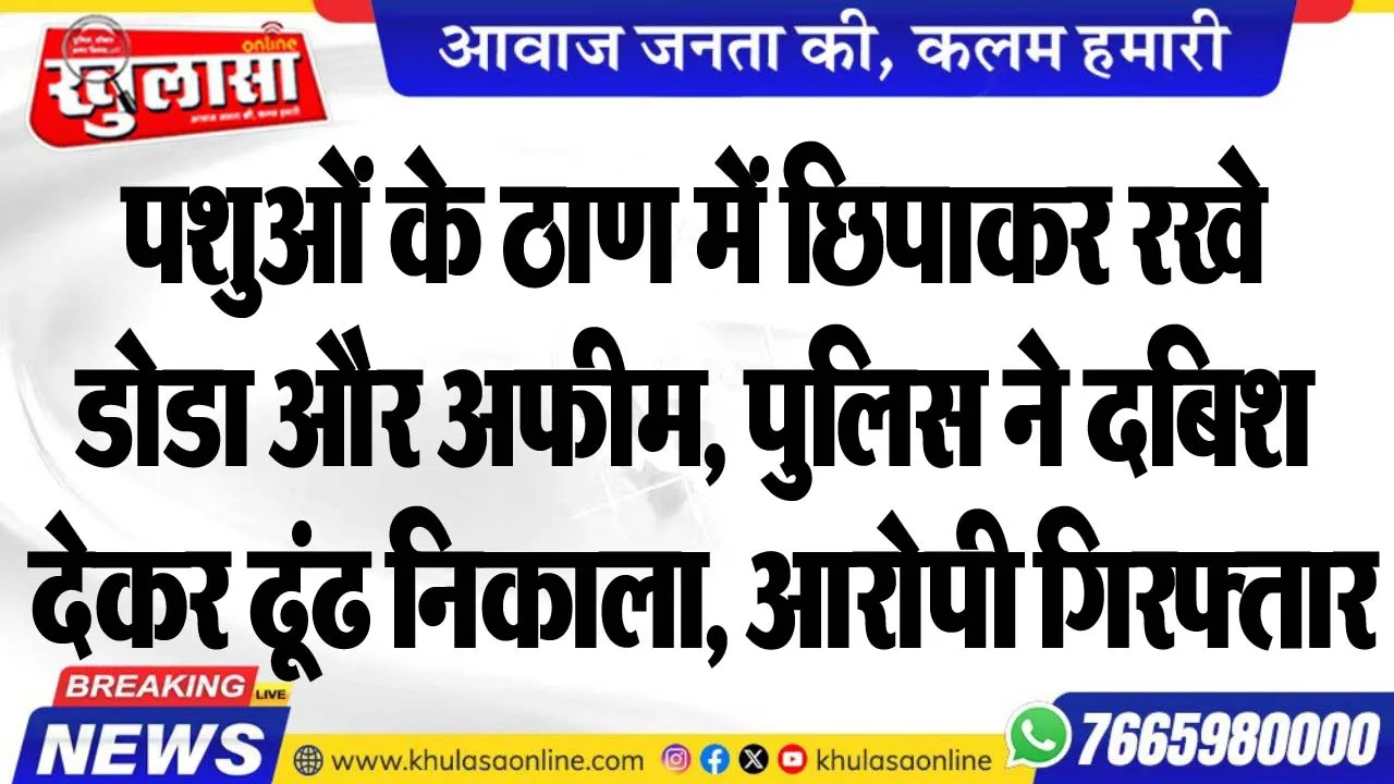 पशुओं के ठाण में छिपाकर रखे डोडा और अफीम, पुलिस ने दबिश देकर ढूंढ निकाला, आरोपी गिरफ्तार