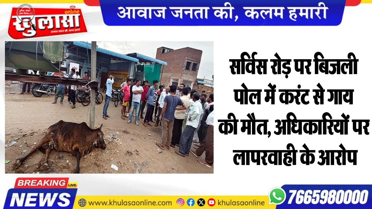 सर्विस रोड़ पर बिजली पोल में करंट से गाय की मौत, अधिकारियों पर लापरवाही के आरोप