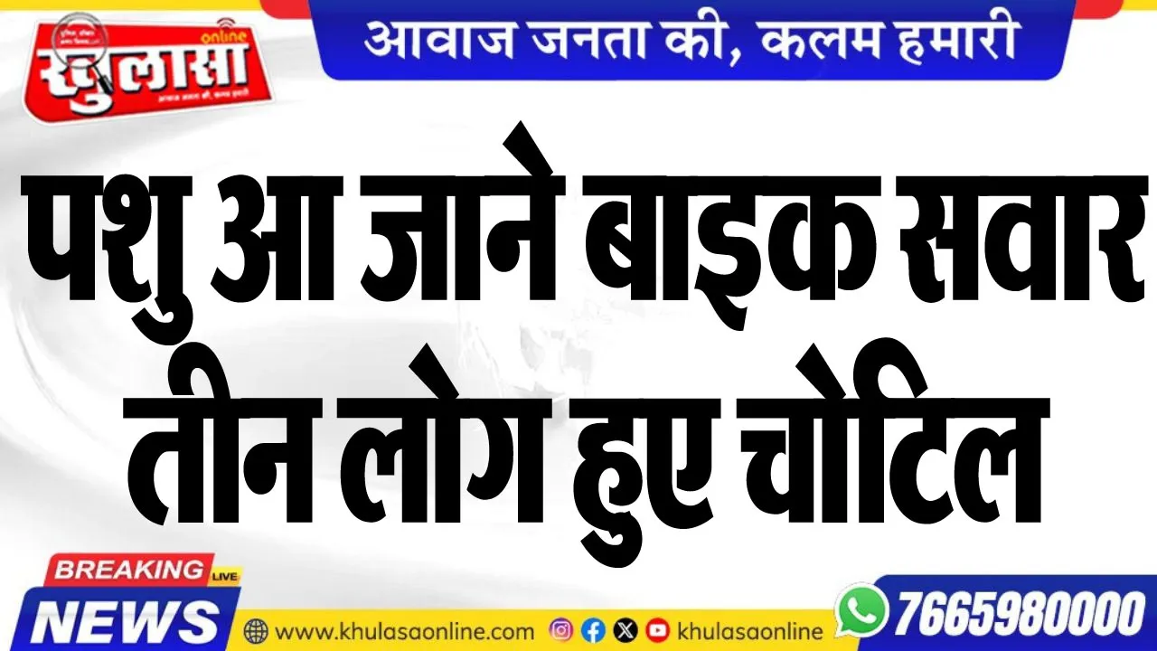 पशु आ जाने बाइक सवार तीन लोग हुए चोटिल