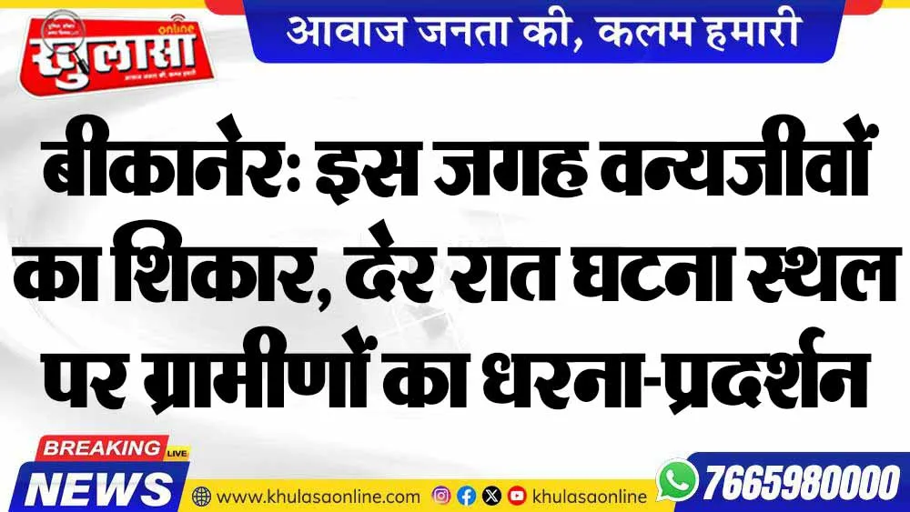 बीकानेर: इस जगह वन्यजीवों का शिकार, देर रात घटना स्थल पर ग्रामीणों का धरना-प्रदर्शन