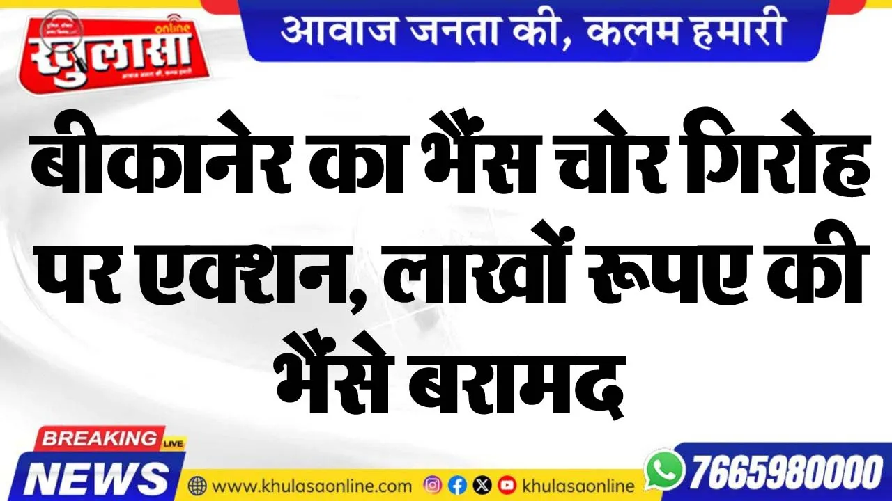 बीकानेर का भैंस चोर गिरोह पर एक्शन, लाखों रूपए की भैंसे बरामद