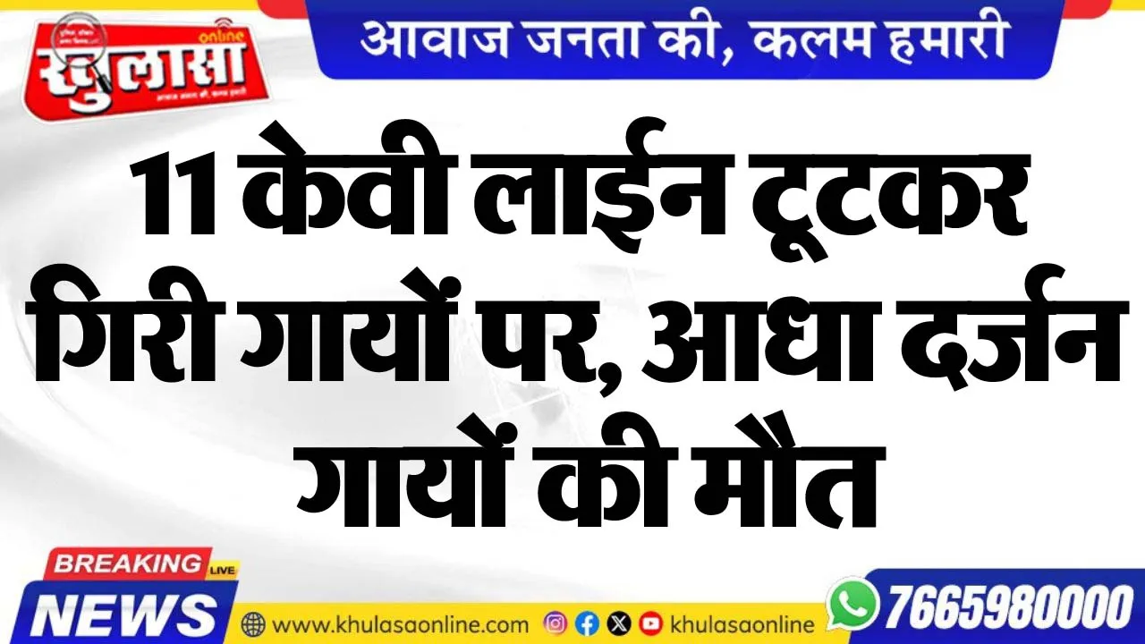 11केवी लाईन टूटकर गिरी गायों पर, आधा दर्जन गायों की मौत