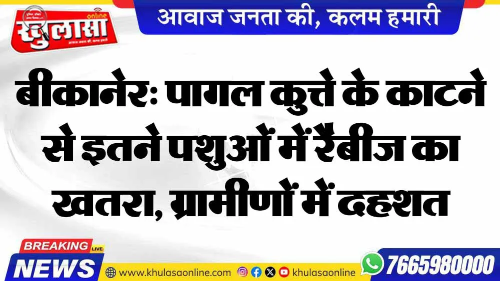 बीकानेर: पागल कुत्ते के काटने से इतने पशुओं में रैबीज का खतरा, ग्रामीणों में दहशत