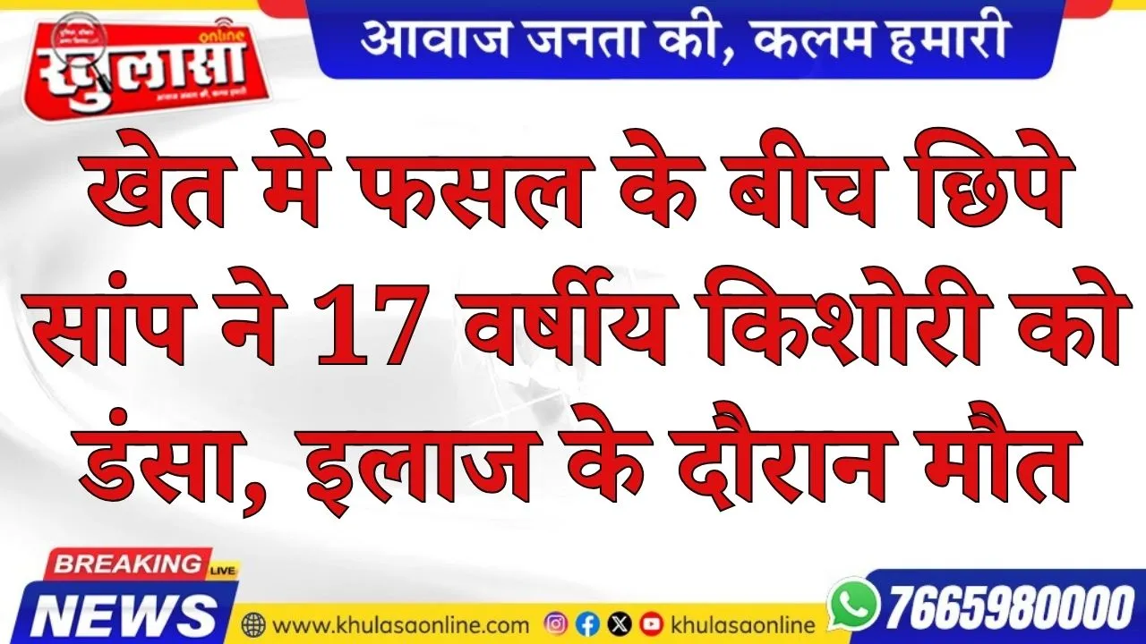 खेत में फसल के बीच छिपे सांप ने 17 वर्षीय किशोरी को डंसा, इलाज के दौरान मौत