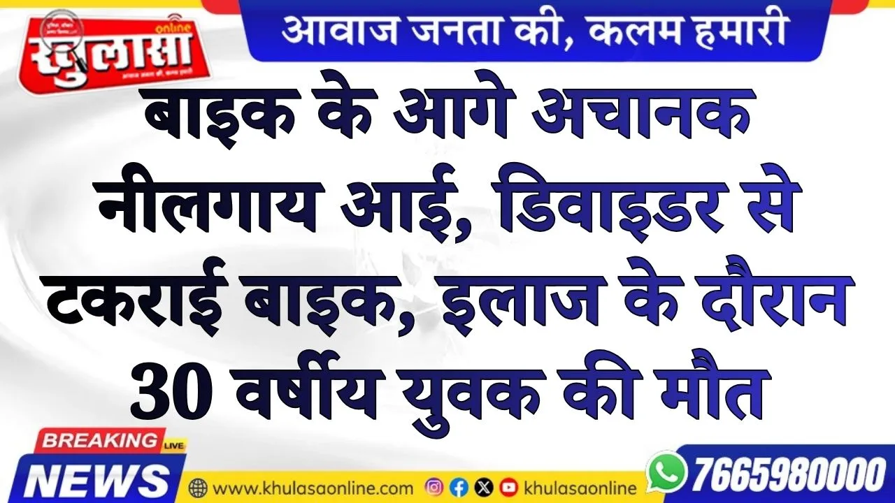 बाइक के आगे अचानक नीलगाय आई, डिवाइडर से टकराई बाइक; इलाज के दौरान 30 वर्षीय युवक की मौत
