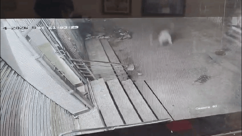 अचानक महिला गिरी तीसरी मंजिल से, घायल अवस्था में पीबीएम ले जाया गया