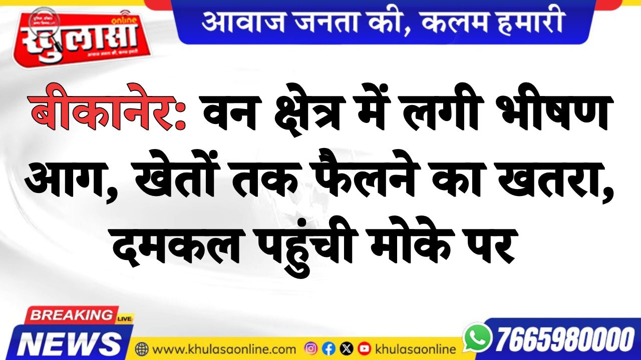 बीकानेर: वन क्षेत्र में लगी भीषण आग, खेतों तक फैलने का खतरा, दमकल पहुंची मोके पर
