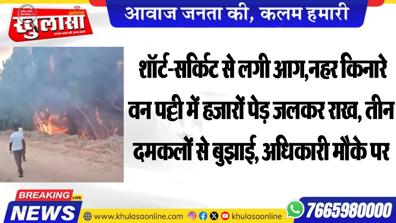 शॉर्ट-सर्किट से लगी आग,नहर किनारे वन पट्टी में हजारों पेड़ जलकर राख, तीन दमकलों से बुझाई, अधिकारी मौके पर
