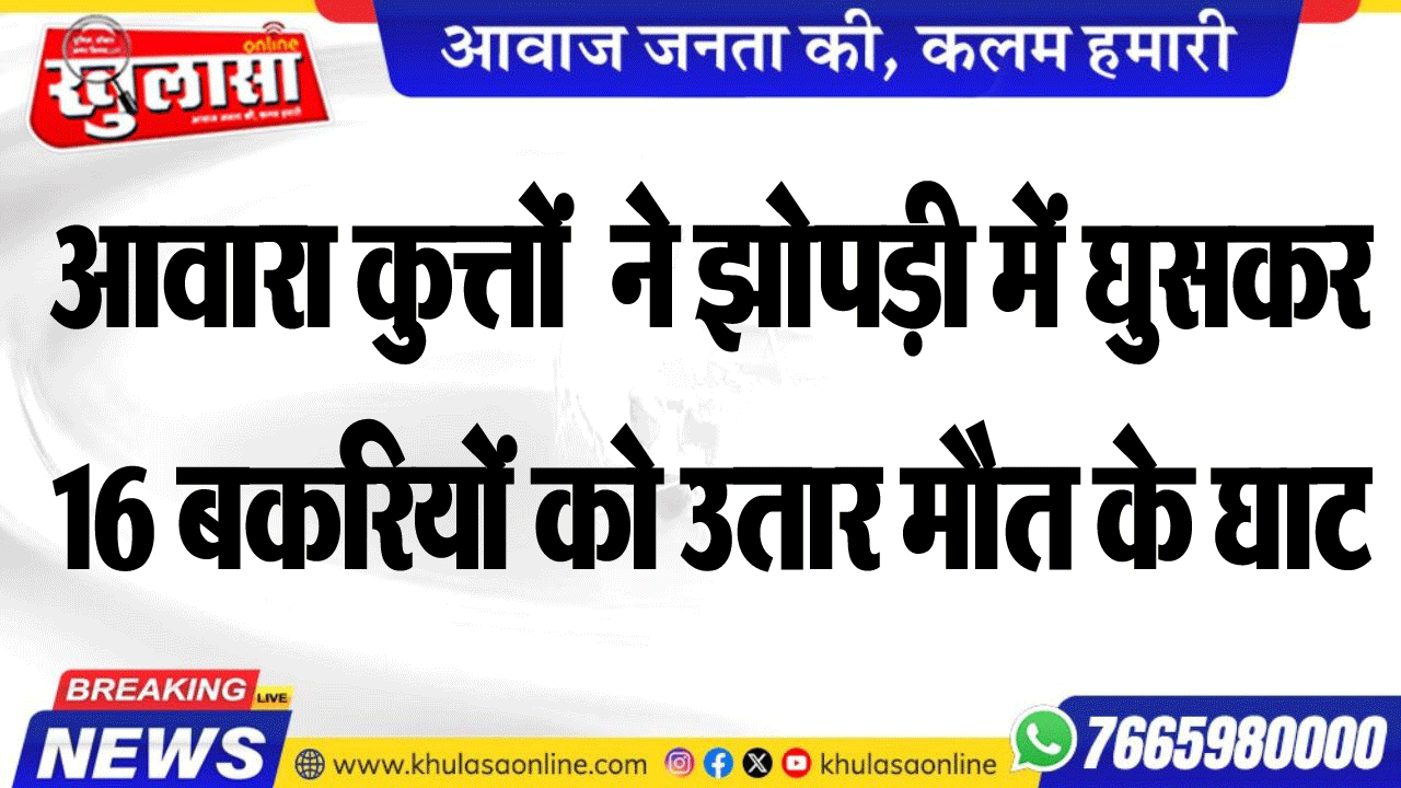 आवारा कुत्तों  ने झोपड़ी में घुसकर 16 बकरियों को उतार मौत के घाट