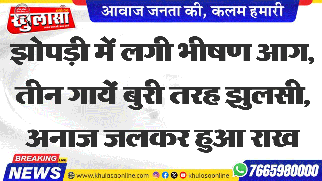 झोपड़ी में लगी भीषण आग, तीन गाये बुरी तरह झुलसी, अनाज जलकर हुआ राख