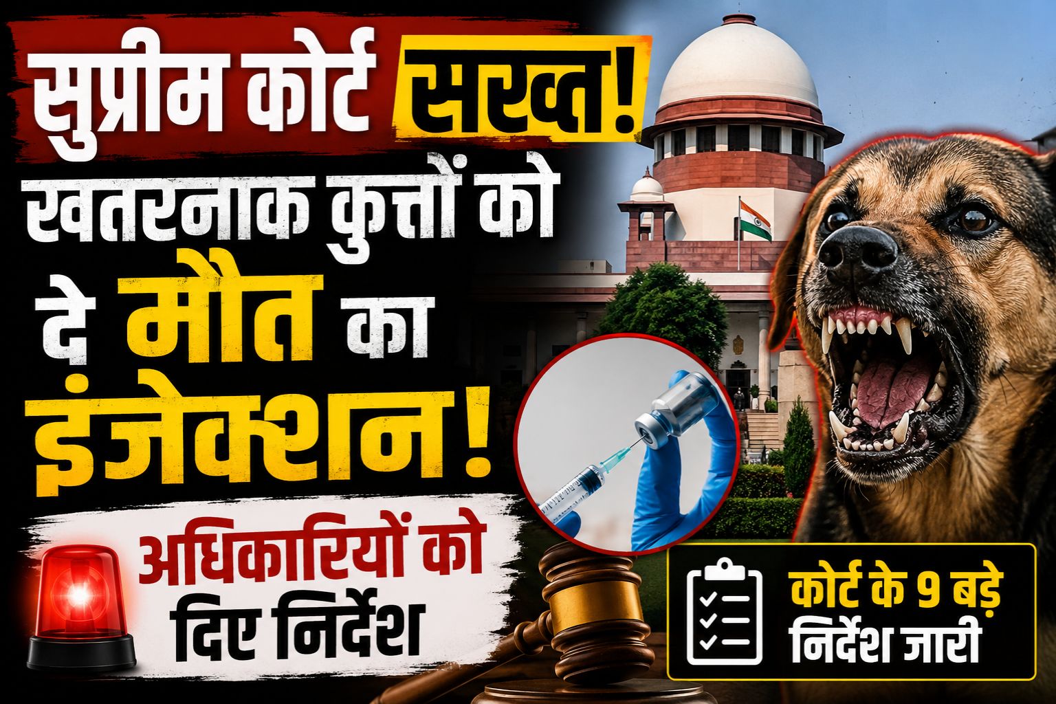 सुप्रीम कोर्ट सख्त: खतरनाक कुत्तों को दे मौत का इंजेक्शन! अधिकारियों को दिए निर्देश