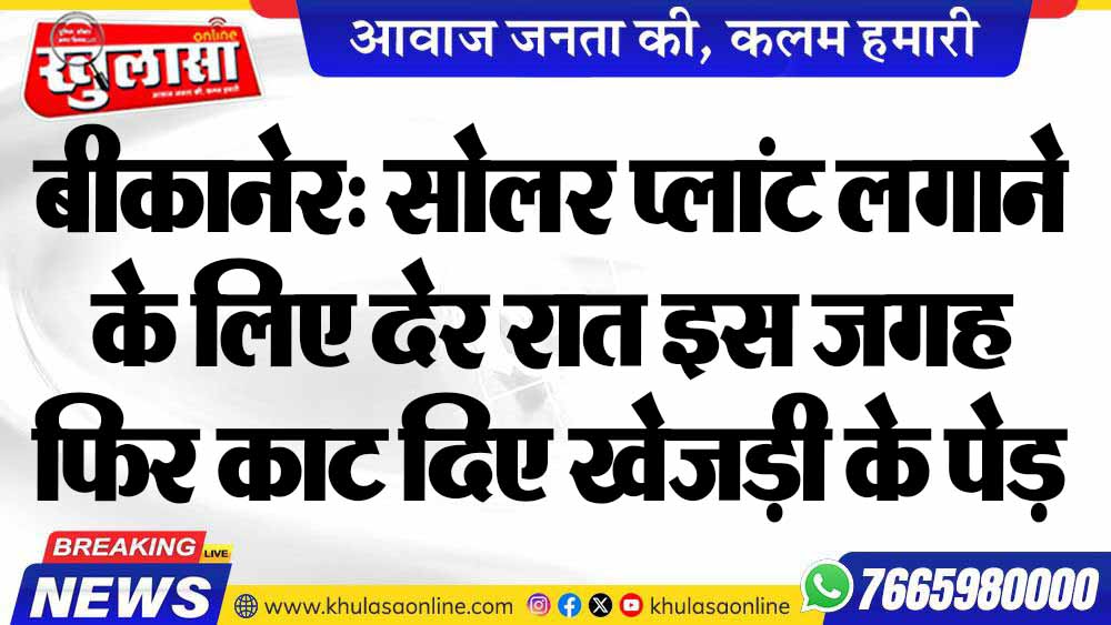 बीकानेर: सोलर प्लांट लगाने के लिए देर रात इस जगह फिर काट दिए खेजड़ी के पेड़