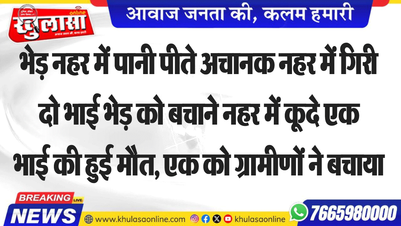 भेड़ नहर में पानी पीते अचानक नहर में गिर गई, दो भाई भेड़ को बचाने नहर में कूदे एक भाई की हुई मौत, एक को ग्रामीणों ने बचाया