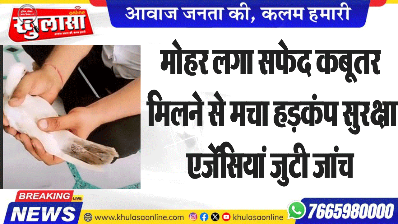 मोहर  लगा सफेद कबूतर मिलने से मचा हडक़ंप सुरक्षा एजेंसियां जुटी जांच