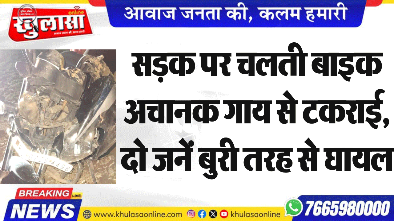 सडक़ पर चलती बाइक अचानक गाय से टकराई, दो जनें बुरी तरह से घायल