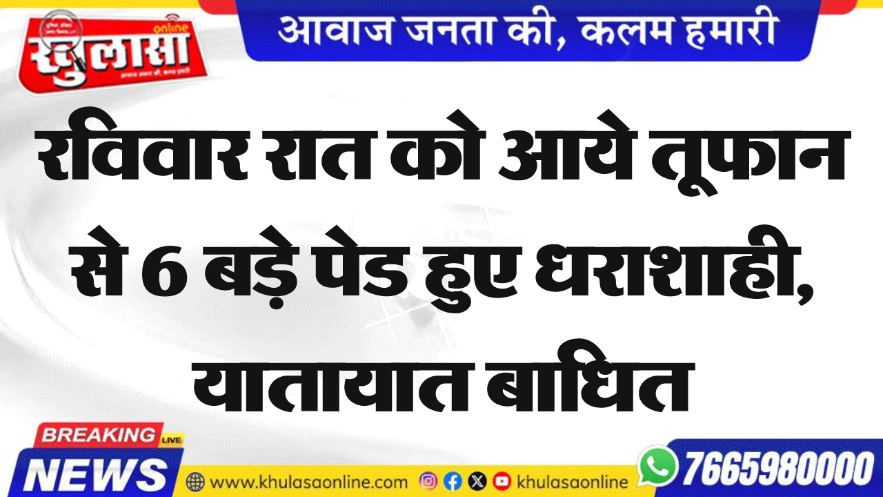 रविवार रात को आये तूफान से 6 बड़े पेड हुए धराशाही, यातायात बाधित