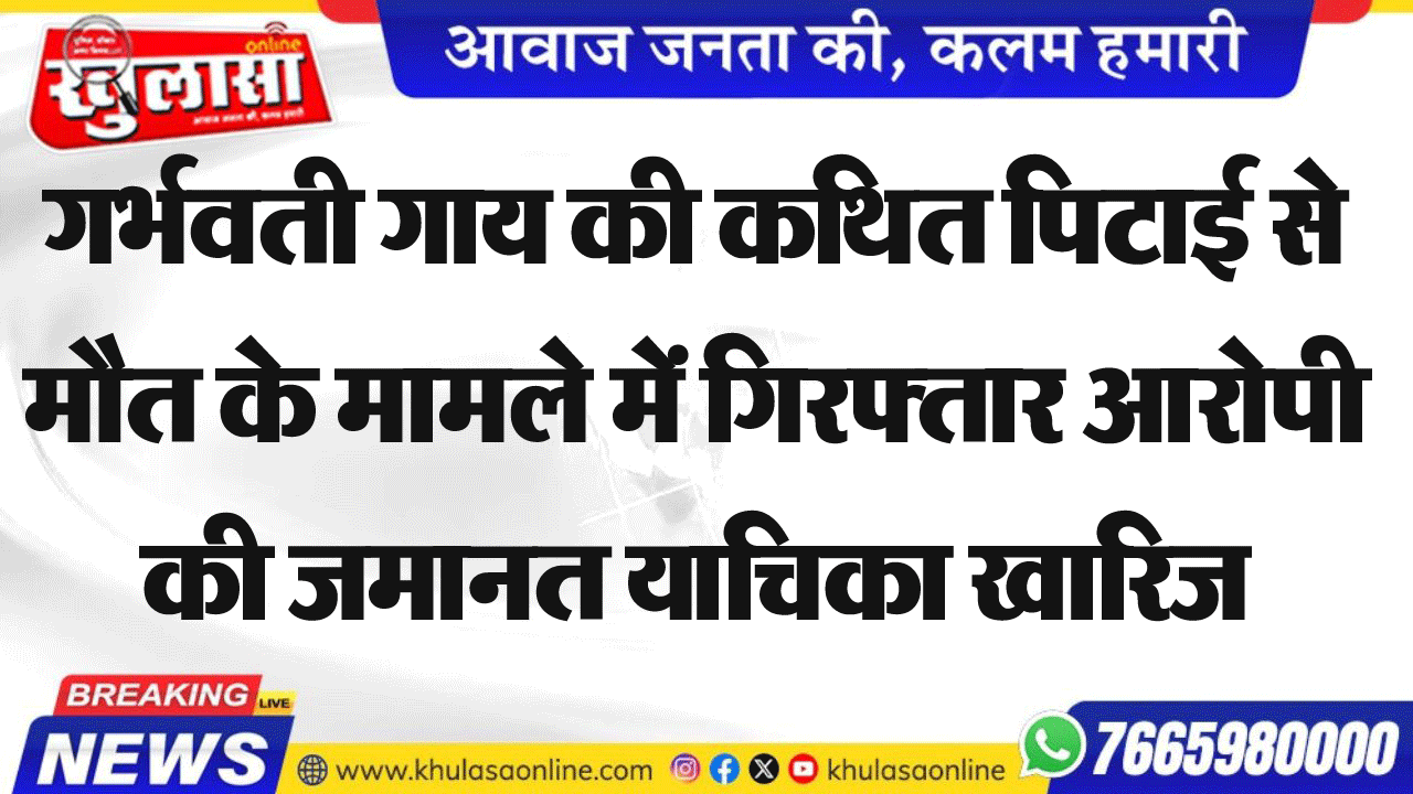 गर्भवती गाय की कथित पिटाई से मौत के मामले में गिरफ्तार आरोपी की जमानत याचिका खारिज