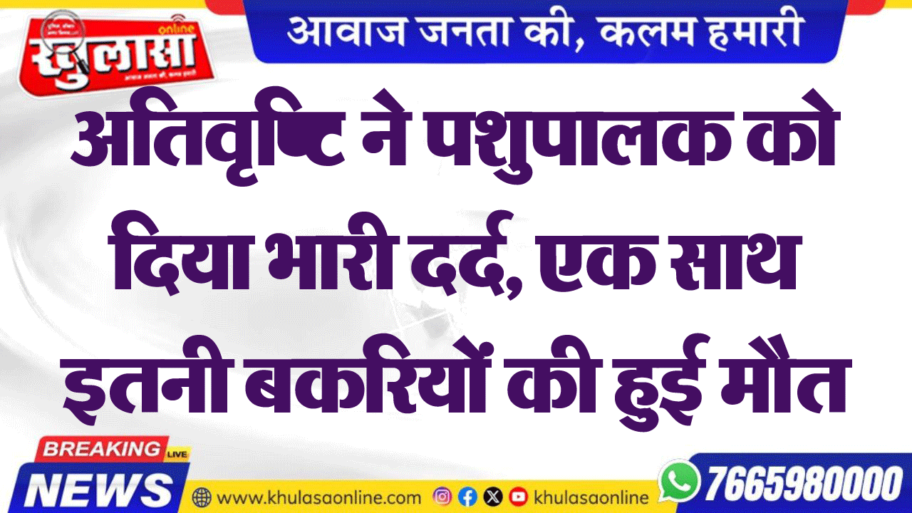 अतिवृष्टि ने पशुपालक को दिया भारी दर्द, एक साथ इतनी बकरियों की हुई मौत
