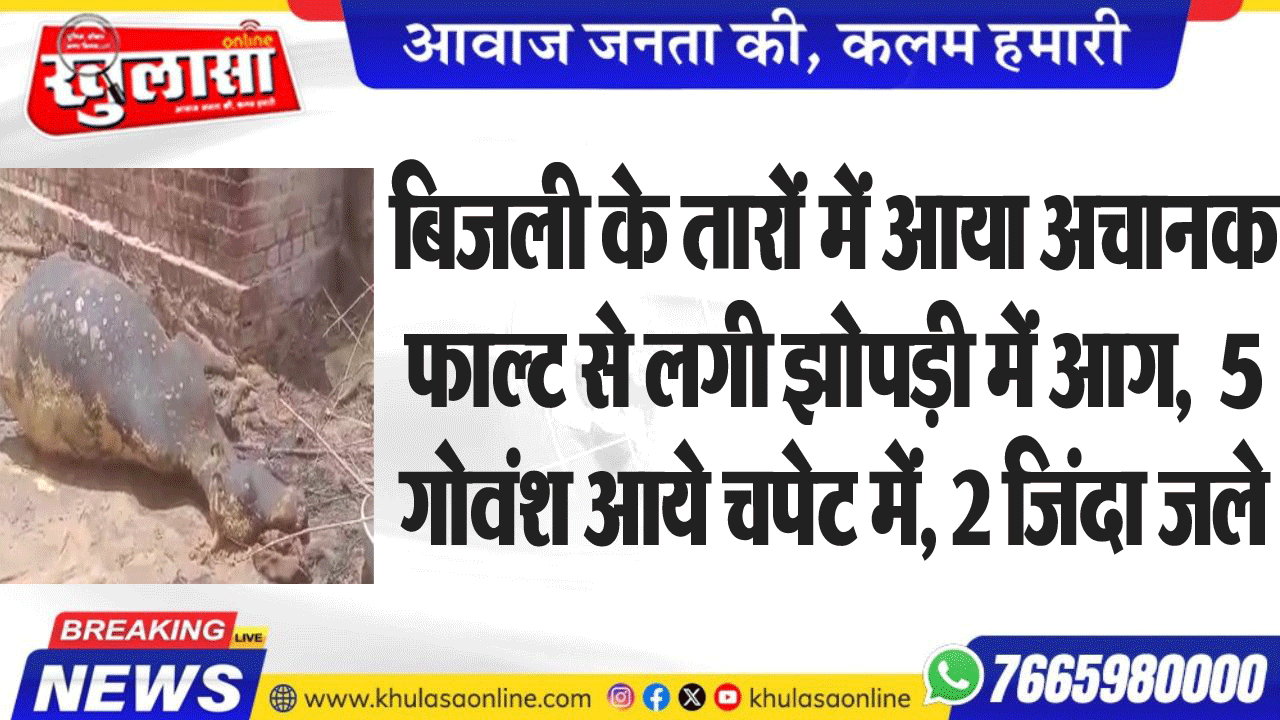 बिजली के तारों में आया अचानक फाल्ट से लगी झोपड़ी में आग,  5 गोवंश आये चपेट में, 2 जिंदा जले