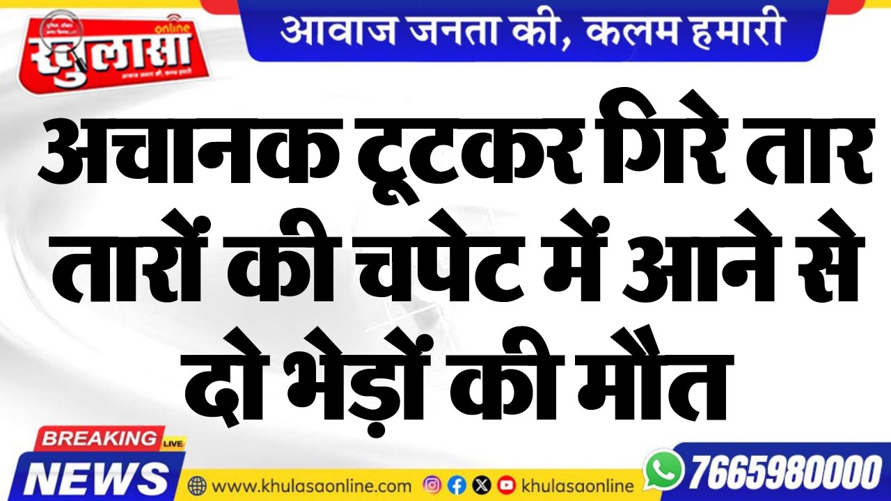 अचानक टूटकर गिरे तार, तारों की चपेट में आने से दो भेड़़ों की मौत
