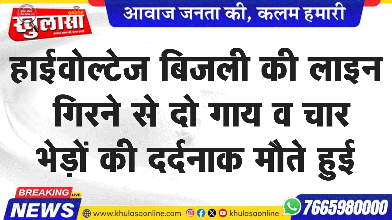 हाईवोल्टेज बिजली की लाइन गिरने से दो गाय व चार भेड़ों की दर्दनाक मौते हुई