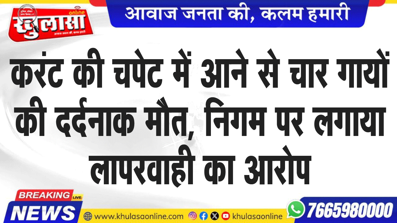 करंट की चपेट में आने से चार गायों की दर्दनाक मौत, निगम पर लगाया लापरवाही का आरोप